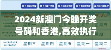2024新澳門今晚開獎號碼和香港,高效執行方案_鉆石版GKK7.48