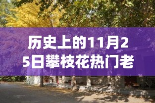 探秘攀枝花小巷傳奇老賴店，歷史與美食的雙重魅力之旅（附日期揭秘）