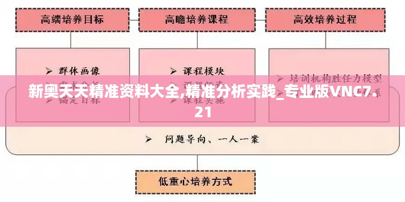 新奧天天精準資料大全,精準分析實踐_專業版VNC7.21