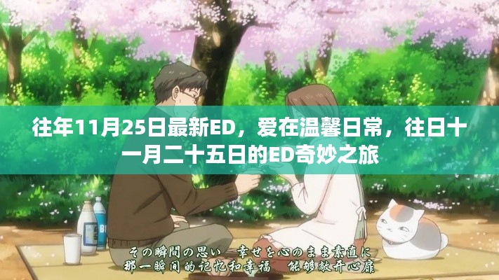 往年11月25日ED的溫馨日常奇妙之旅