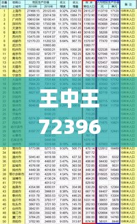 王中王72396cm最準一肖,實地觀察解釋定義_風尚版YDF7.19
