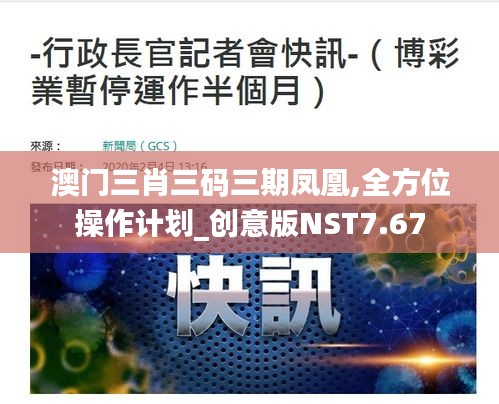 澳門三肖三碼三期鳳凰,全方位操作計劃_創意版NST7.67