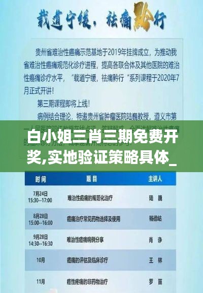 白小姐三肖三期免費開獎,實地驗證策略具體_授權(quán)版DCF7.58