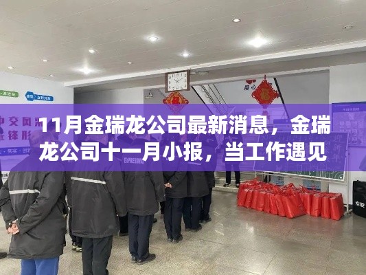 11月金瑞龍公司最新動態(tài)，工作遇溫馨日常，友情與愛共筑美好時刻