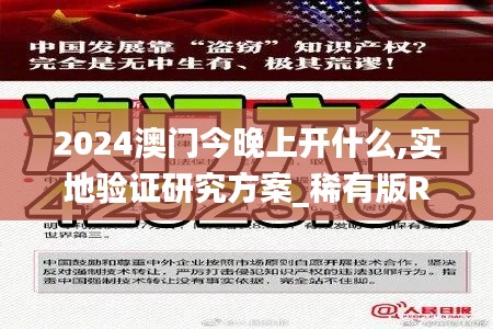 2024澳門今晚上開什么,實地驗證研究方案_稀有版RMF7.38
