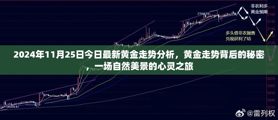 揭秘黃金走勢背后的秘密，自然美景的心靈之旅（最新黃金走勢分析）