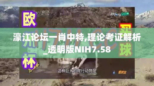 濠江論壇一肖中特,理論考證解析_透明版NIH7.58