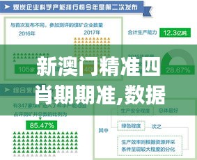 新澳門精準四肖期期準,數據引導執行策略_車載版CAC7.44