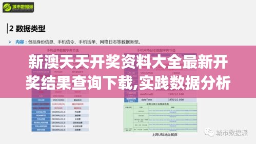 新澳天天開獎資料大全最新開獎結果查詢下載,實踐數據分析評估_外觀版SRJ7.38