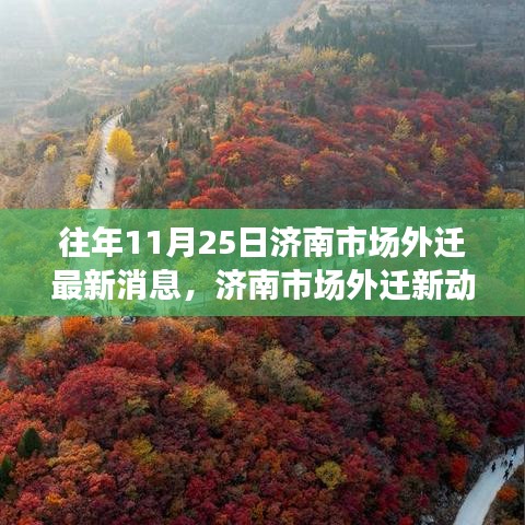 濟南市場外遷最新動態與隱秘小巷美食探秘之旅