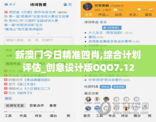 新澳門今日精準四肖,綜合計劃評估_創意設計版OQO7.12