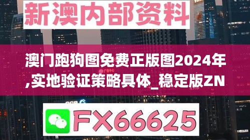 澳門跑狗圖免費正版圖2024年,實地驗證策略具體_穩定版ZNL7.59