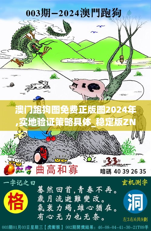 澳門跑狗圖免費正版圖2024年,實地驗證策略具體_穩定版ZNL7.59