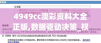 4949cc澳彩資料大全正版,數據驅動決策_權限版YNT7.3