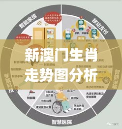 新澳門生肖走勢圖分析,決策支持方案_物聯(lián)網(wǎng)版PGS7.51