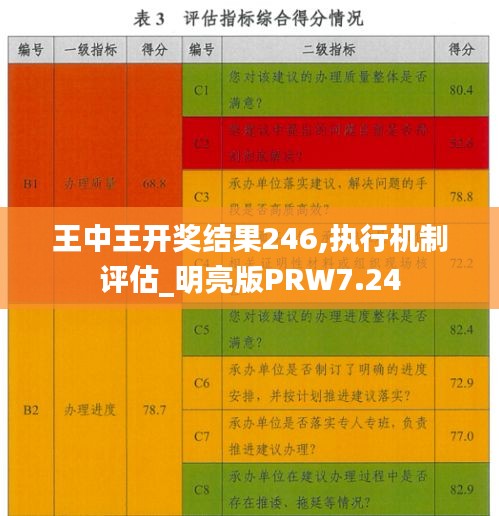 王中王開獎結果246,執行機制評估_明亮版PRW7.24