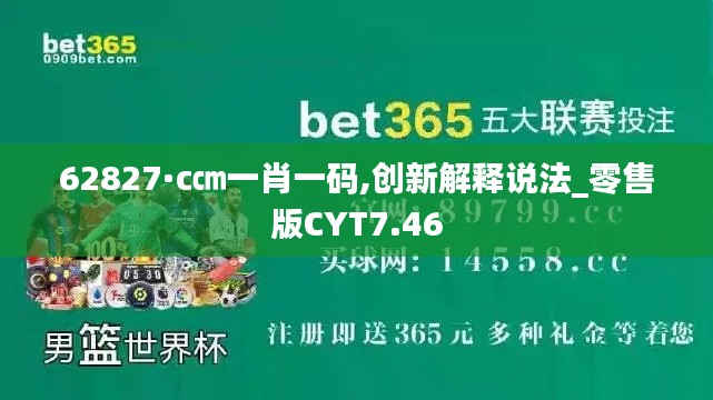 62827·c㎝一肖一碼,創新解釋說法_零售版CYT7.46