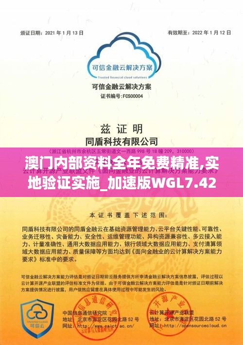 澳門內部資料全年免費精準,實地驗證實施_加速版WGL7.42