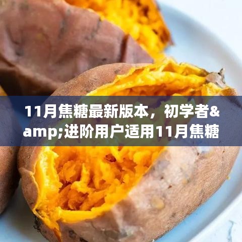 11月焦糖最新版本使用指南,適合初學者與進階用戶