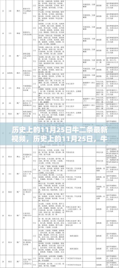 歷史上的11月25日牛二條最新視頻深度解析與評測