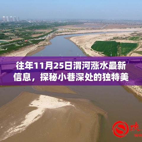渭河漲水日探秘獨特美味,隱藏版美食小店揭秘,美食與自然的交響樂章