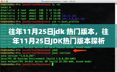 往年11月25日JDK熱門版本深度解析，觀點與個人立場探討