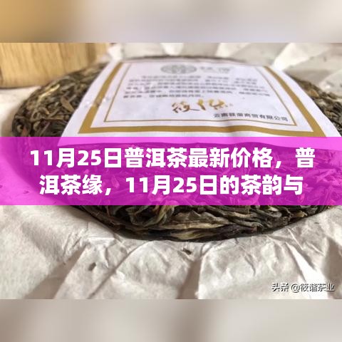11月25日普洱茶最新價(jià)格，茶韻與溫情的邂逅