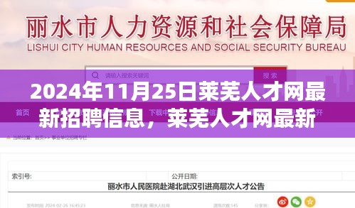 聚焦要點(diǎn)解析,萊蕪人才網(wǎng)最新招聘信息發(fā)布(2024年11月版)