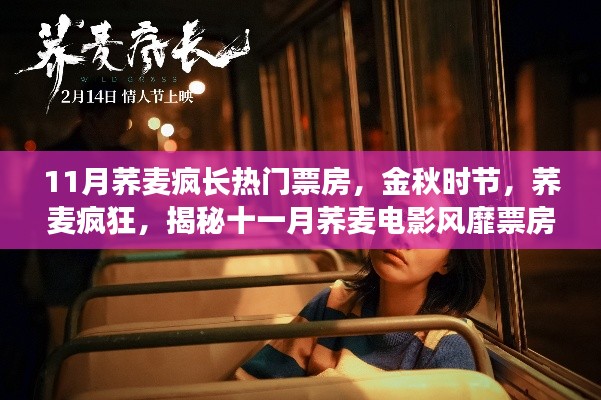 揭秘十一月蕎麥電影風靡背后的故事，金秋時節蕎麥瘋狂引領票房熱潮