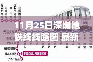 最新深圳地鐵線路圖解讀,11月25日深圳地鐵網絡新變化全解析