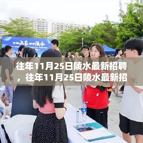 往年11月25日陵水最新招聘概覽及行業熱點求職指南