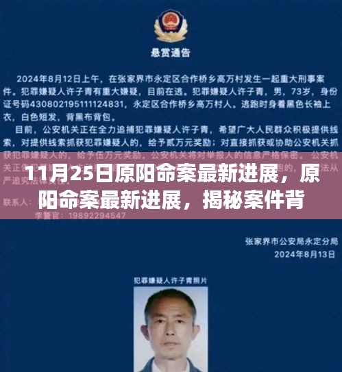 揭秘原陽命案最新進展，案件背后的故事浮出水面