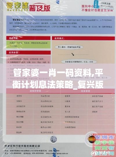 管家婆一肖一碼資料,平衡計劃息法策略_復興版XFG13.84