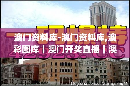 澳門資料庫-澳門資料庫,澳彩圖庫|澳門開獎直播|澳門圖庫|澳門掛牌|特區娛樂第,安全保障措施_家庭版XMK13.81