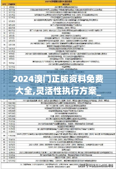 2024溴門正版資料免費大全,靈活性執行方案_獲取版QNL13.11