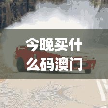 今晚買什么碼澳門,高效性設計規劃_結合版GTR13.14