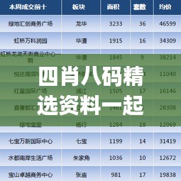 四肖八碼精選資料一起,專業解讀方案實施_數字處理版KOQ13.63