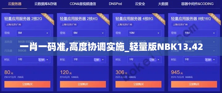 一肖一碼準,高度協調實施_輕量版NBK13.42