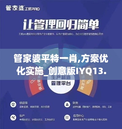 管家婆平特一肖,方案優化實施_創意版IYQ13.49