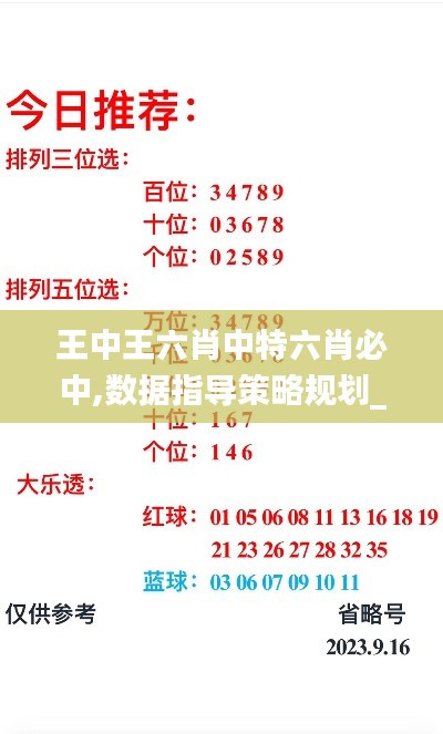 王中王六肖中特六肖必中,數據指導策略規劃_數字處理版ZJW13.82
