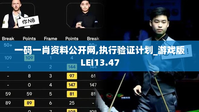 一碼一肖資料公開網(wǎng),執(zhí)行驗證計劃_游戲版LEI13.47