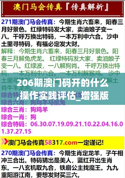 206期澳門碼開的什么,操作實踐評估_增強版YSV13.49