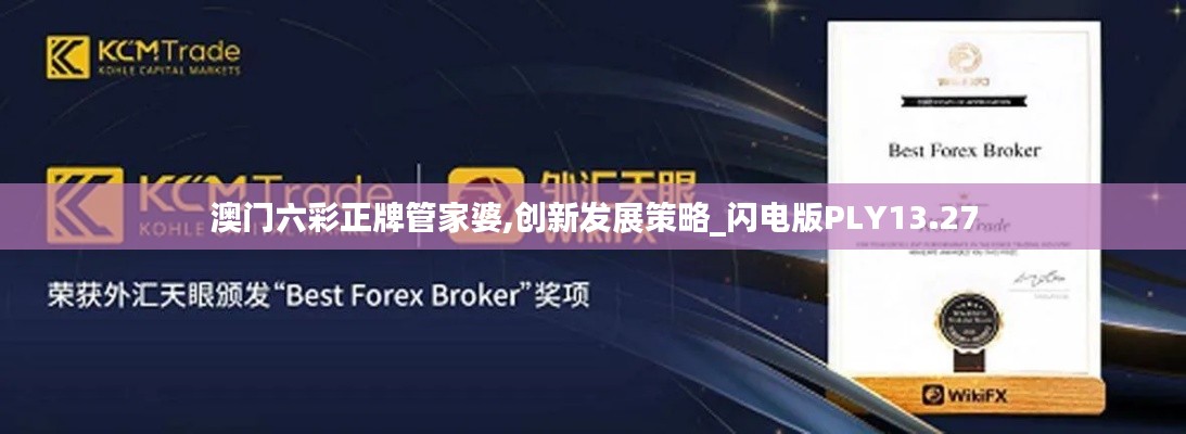 澳門六彩正牌管家婆,創新發展策略_閃電版PLY13.27