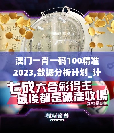 澳門一肖一碼100精準2023,數據分析計劃_計算機版DHH13.23