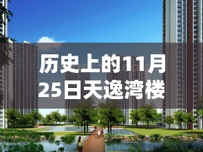 歷史上的11月25日,天逸灣樓盤最新動態及其深度影響分析