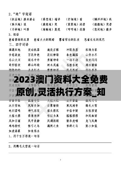 2023澳門資料大全免費原創,靈活執行方案_知曉版ZVO13.33