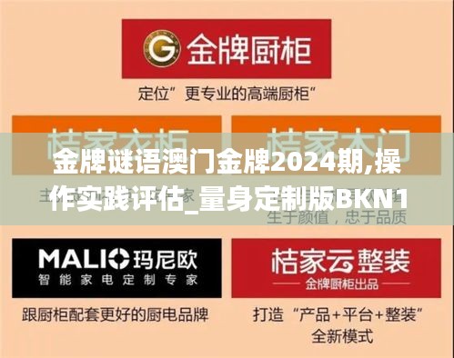 金牌謎語澳門金牌2024期,操作實(shí)踐評(píng)估_量身定制版BKN13.10