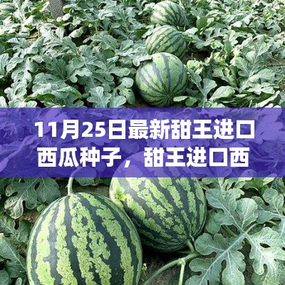 最新甜王進口西瓜種子,感受成長之甜與變化之力