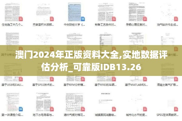 澳門2024年正版資料大全,實地數據評估分析_可靠版IDB13.26