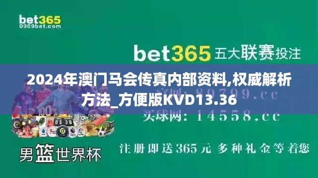 2024年澳門馬會傳真內部資料,權威解析方法_方便版KVD13.36